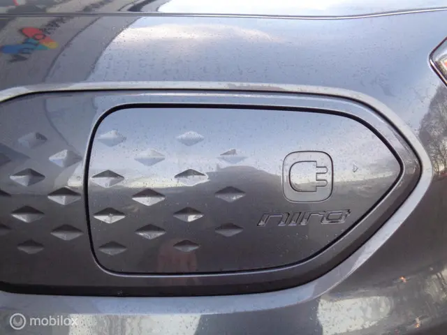 Kia e-Niro ExecutiveLine 64 kWh 2020 Elektrisch 24