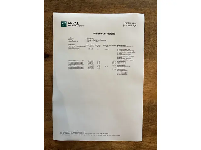 Kia e-Niro ExecutiveLine 64 kWh 2020 Elektrisch 46