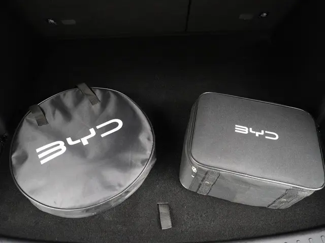 BYD ATTO 3 Design 2022 Elektrisch 11