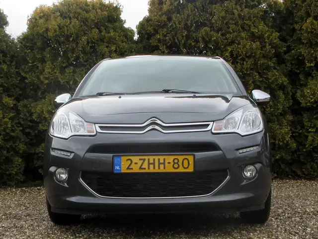 Citroën C3 1.2 PureTech*Cruise*Pdc*Trekhaak* 2015 Benzine 12