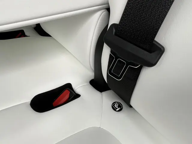 Tesla Model Y Long Range AWD 75 kWh 2023 Elektrisch 22
