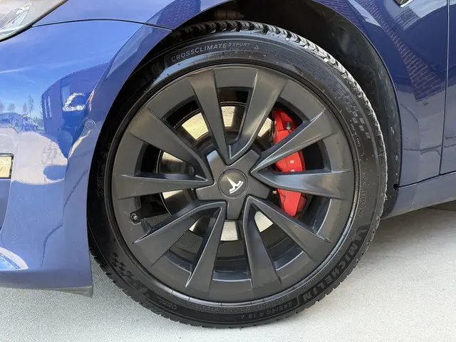 Tesla Model 3 Long Range AWD 75 kWh 2021 Elektrisch 24