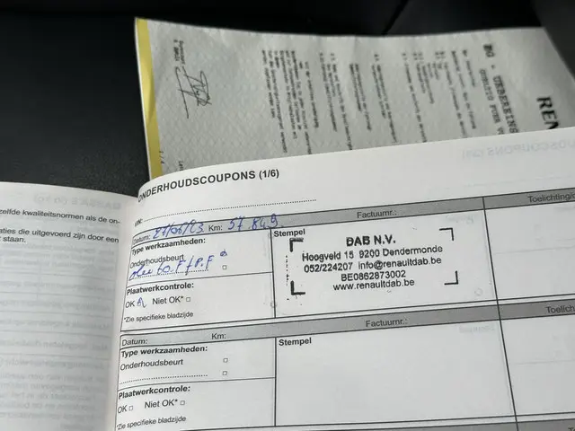 Renault Kadjar TCe 165 Bose 2017 Benzine 30