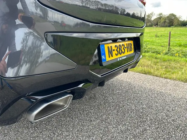 BMW X4 xDrive20i Bns Ed.+ PANORAMADAK | NAP ! 2021 Benzine 11