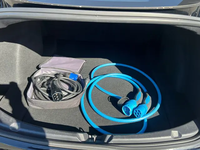 Tesla Model 3 Long Range AWD 75 kWh 2019 Elektrisch 9