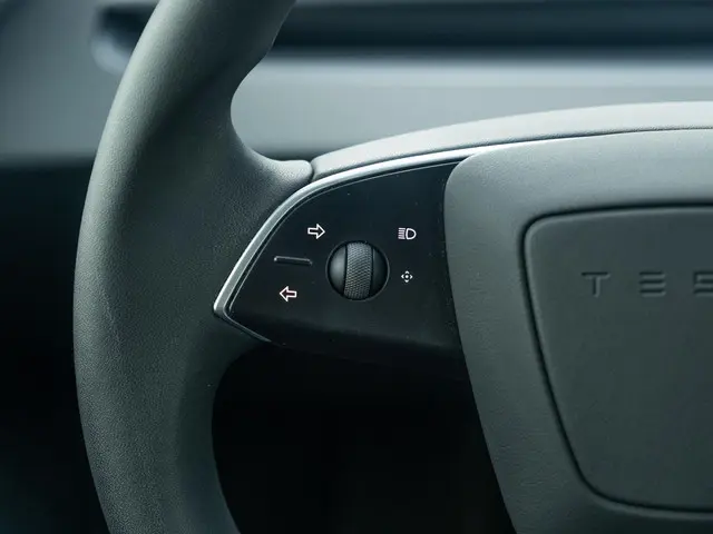 Tesla Model 3 RWD 60 kWh 2024 Elektrisch 58