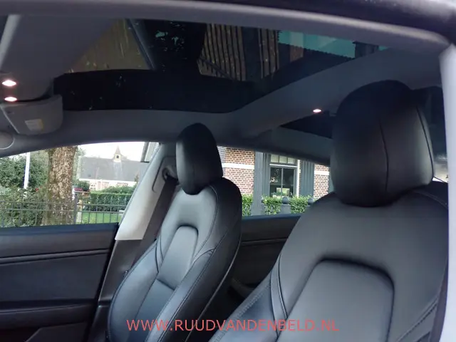 Tesla Model 3 Performance AWD 75kWh 2020 Elektrisch 35