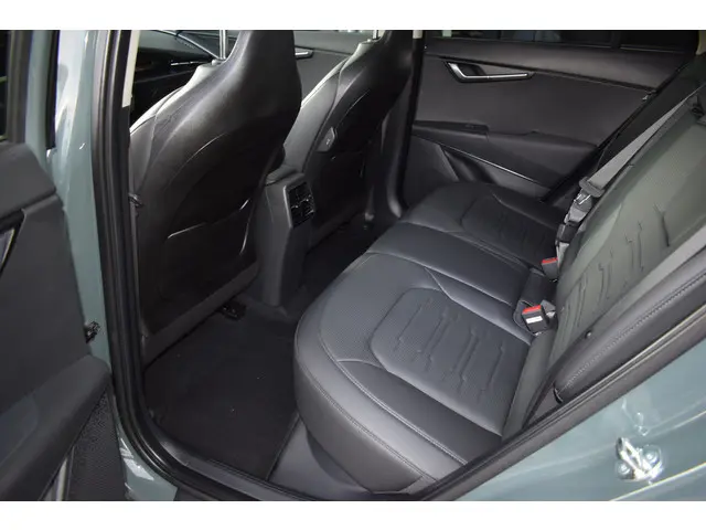 Kia Niro EV Edition Advanced 64.8 kWh 2024 Elektrisch 5