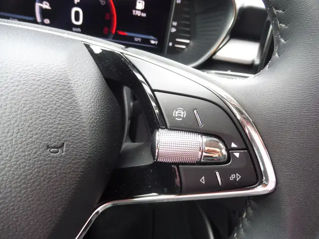 Škoda Fabia 1.0 TSI Business Edition 2023 Benzine 25