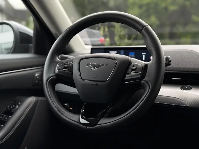 Ford Mustang Mach-E Aut. 75kWh 2021 Elektrisch 20