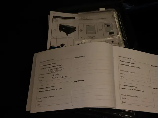 Suzuki Ignis 1.2 Smart Hybrid Select 2021 Benzine 42