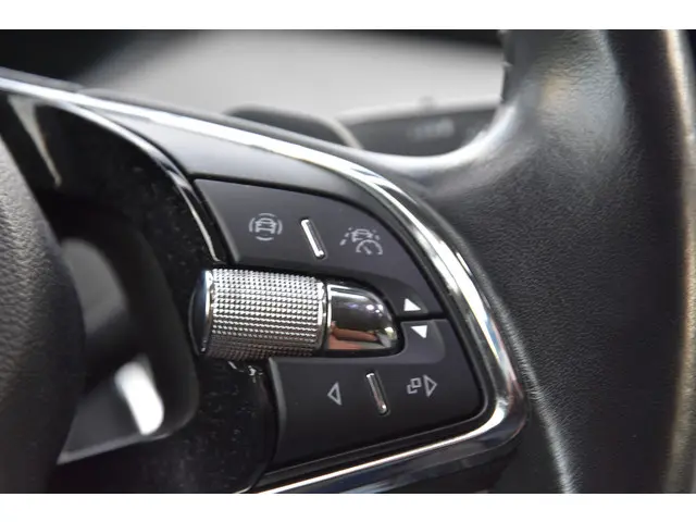 Škoda Enyaq iV 80 2021 Elektrisch 10