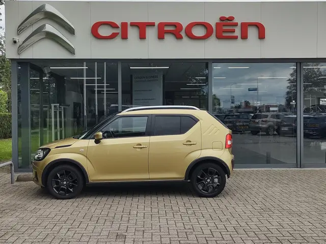 Suzuki Ignis 1.2 Select 2017 Benzine 6