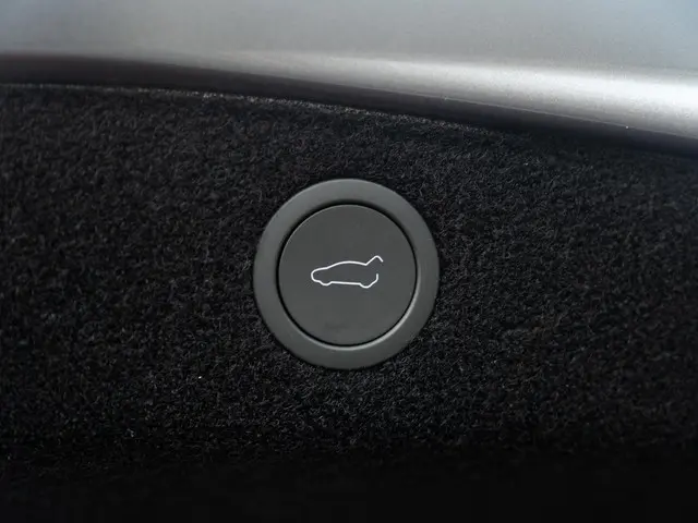 Tesla Model 3 RWD 60 kWh 2024 Elektrisch 44