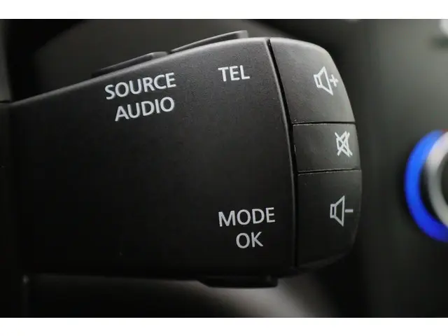 Renault Mégane 1.3 TCe Zen 2018 Benzine 32