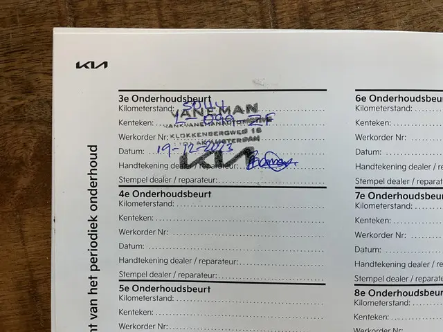 Kia e-Niro DynamicPlusLine 64 kWh 2021 Elektrisch 41