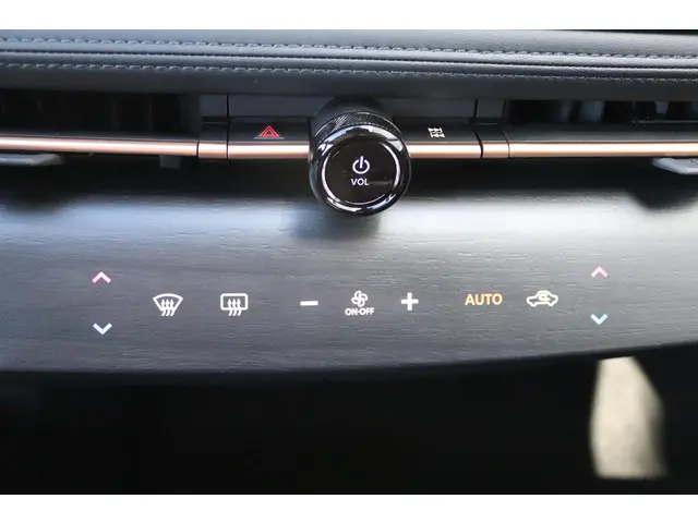 Nissan ARIYA Advance 91 kWh 2025 Elektrisch 14