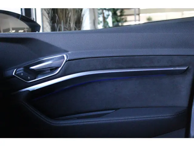 Audi e-tron S quattro 95 kWh 2020 Elektrisch 39