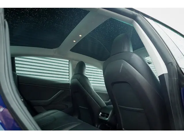 Tesla Model 3 Standard RWD Plus 60 kWh 2019 Elektrisch 18