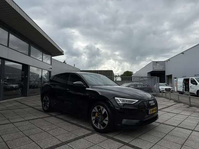 Audi e-tron 50 Aut. Quattro Edition 2020 Elektrisch 7