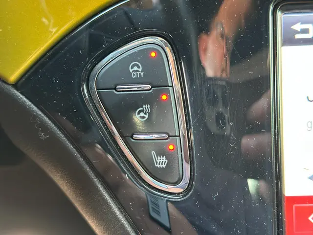 Opel ADAM 1.4 Rocks Edition. Open Dak. Clima. 2014 Benzine 10