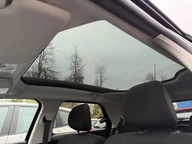 Citroën C4 Cactus 1.2 e-VTi Shine 2015 Benzine 12