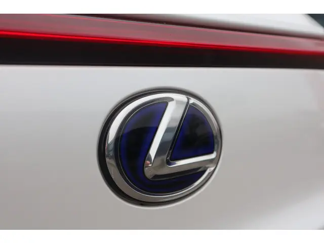 Lexus UX 300e Business 54 kWh 2021 Elektrisch 21