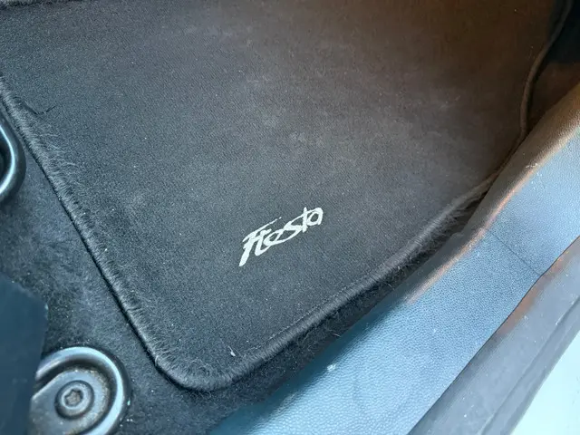 Ford Fiesta 1.25 Titanium 2013 Benzine 19