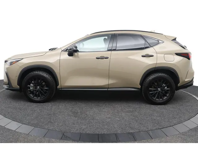 Lexus NX 3