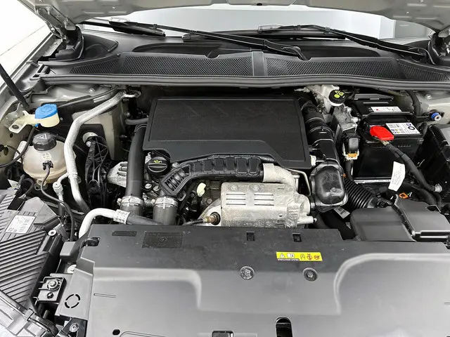 DS DS 4 1.2 PureTech Performance Line+ 2023 Benzine 39