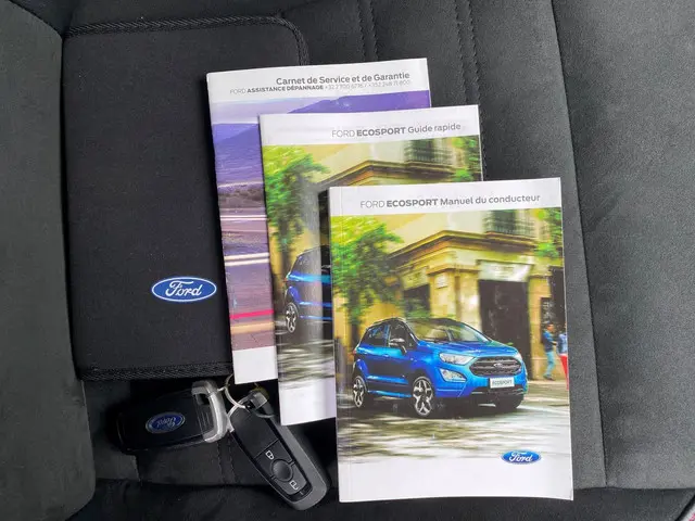 Ford EcoSport 1.0 EcoBoost ST-Line Black 2019 Benzine 31