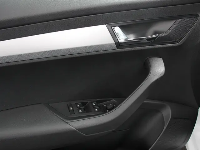 Škoda Karoq 1.5 TSI 150pk DSG Ambition 2024 Benzine 12