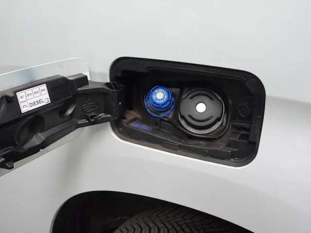 Opel Combo 1.5D L2H1 Standaard 2022 Diesel 10