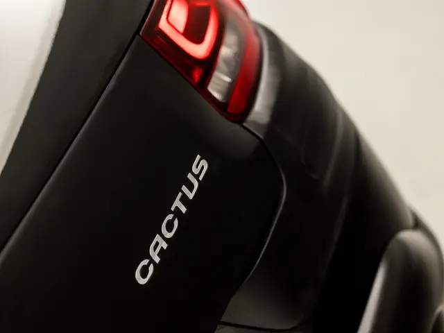 Citroën C4 Cactus 1.2 e-VTi Feel Sport 2015 Benzine 22
