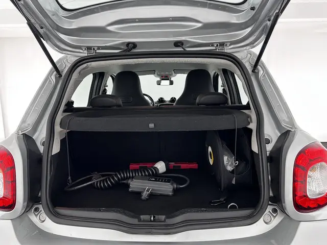 Smart Forfour EQ Business Solution 2019 Elektrisch 10