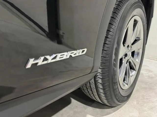 Lexus RX 450h 4WD Business Line 2019 Hybride Benzine 23