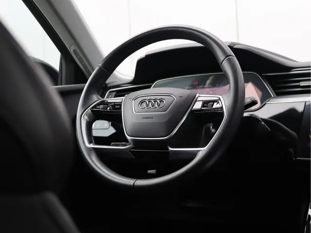 Audi e-tron 50 quattro 71 kWh 2020 Elektrisch 24