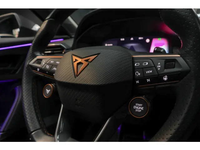 CUPRA Formentor 2.0 TSI 4DRIVE 2023 Benzine 13