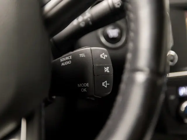 Renault Kadjar 1.2 TCe Bose Sport 2017 Benzine 25