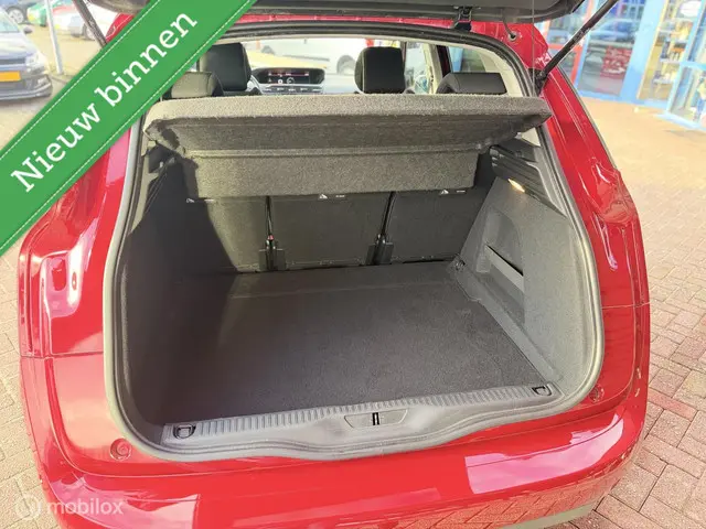 Citroën C4 Spacetourer 1.2 PureTech Feel 2019 Benzine 12