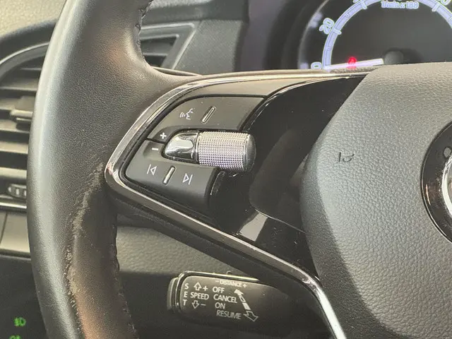 Škoda Fabia Combi 1.0 TSI Ambition 2021 Benzine 30