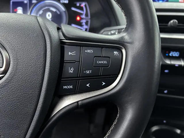 Lexus UX 250h Luxury Line 2019 Hybride Benzine 24