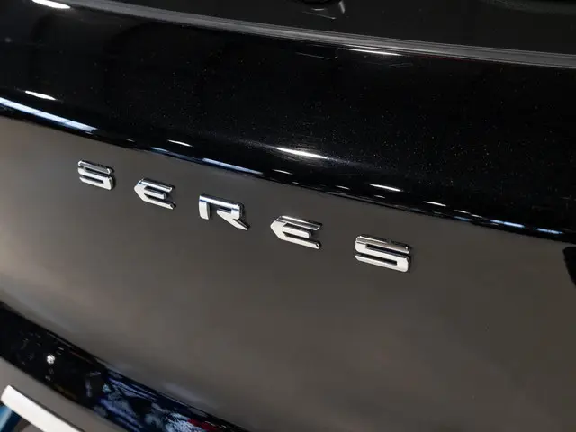 Seres 3 52kWh / 163pk / Panorama dak / Leder / 2021 Elektrisch 9