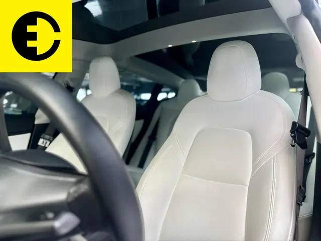 Tesla Model 3 Standard RWD Plus 60 kWh 2021 Elektrisch 5