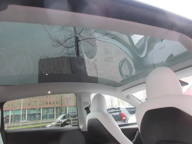 Tesla Model Y Long Range AWD 75 kWh 2021 Elektrisch 13