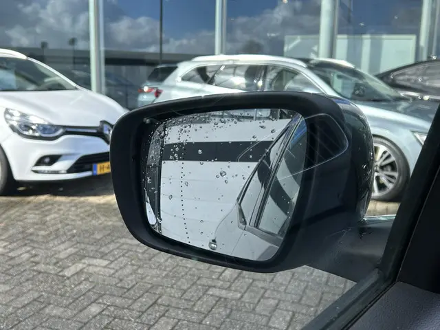 Renault Grand Scénic 1.3 TCe Intens 7p. 2019 Benzine 14