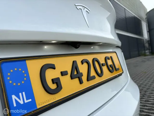 Tesla Model 3 Standard RWD Plus 60 kWh 2019 Elektrisch 10