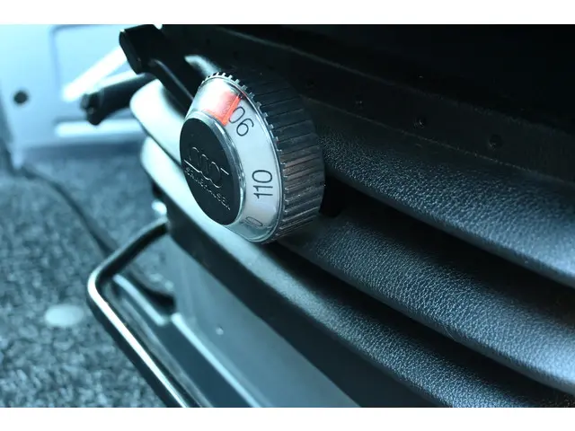 Mercedes-Benz Sprinter 315 CDI L2H1 RWD 2021 Diesel 19