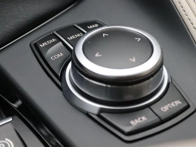 BMW X1 xDrive20i 2020 Benzine 19