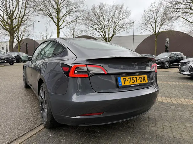 Tesla Model 3 Performance AWD 75 kWh 2022 Elektrisch